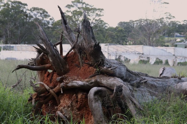 Multimedia_stills_21-1250x833